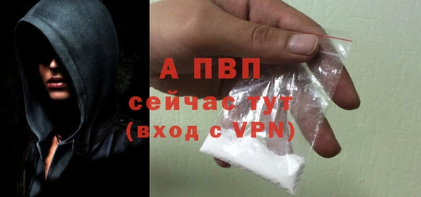 ГАЛЛЮЦИНОГЕННЫЕ ГРИБЫ Алагир