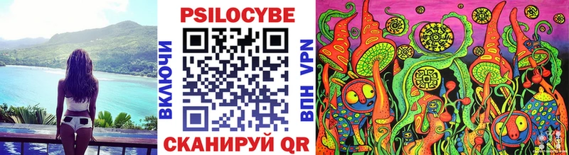 как найти закладки  Княгинино  блэк спрут tor  Галлюциногенные грибы мицелий 